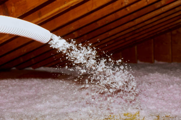 Best Types of Insulation in Indian River Estates, FL