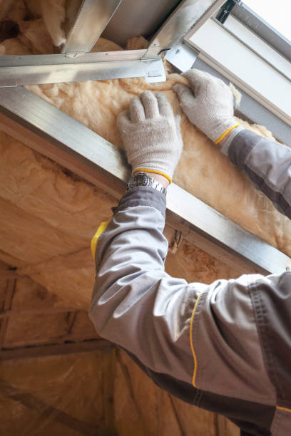 Best Insulation Maintenance and Repair in Indian River Estates, FL